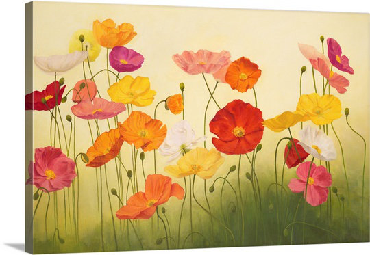 «Sunlit Poppies» par Janelle Kroner, reproduction d'art, H 24 po x l 36 po x p 1,5 po, Toile