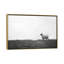 Photographie « islay ovin ii »-43719465-43719470