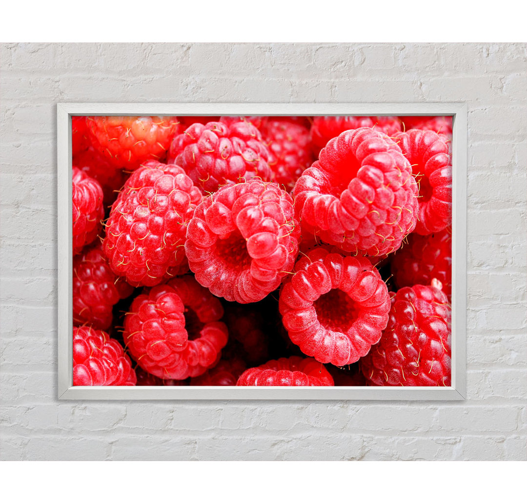 Raspberry Delight - Drucken