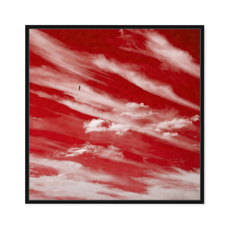 Sky High In Red, 30" H x 30" W, Black