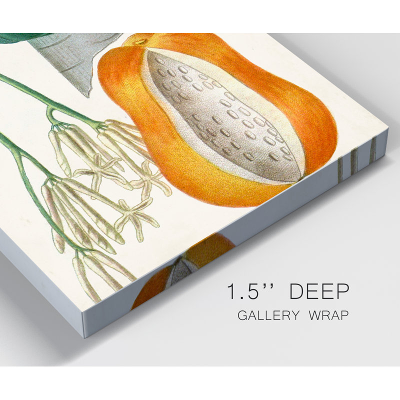 Reproduction d’art sur toile tendue « Turpin tropical fruit XII », H 27 po x l 18 po x P 1 po