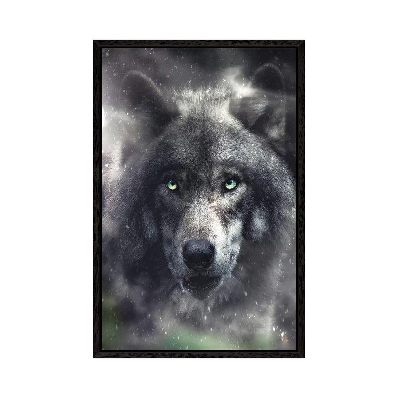 The Hungry Wolf by Zenja Gammer - Print on Canvas, Black Framed, 66.04 cm H x 45.72 cm W