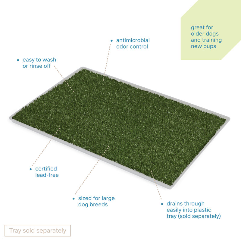 Cieanna Pet Bed, Large (0.5" H x 27.25" W x 40" D)