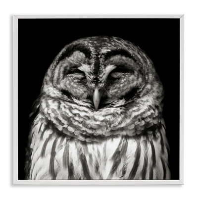 Sleeping Owl Portrait Framed Giclee Art by Kathy Mansfield