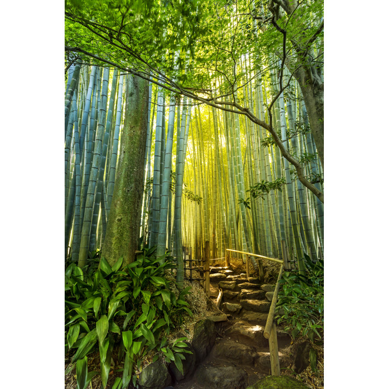 Bamboo Garden by Yarema Fedkovych - Wrapped Canvas Print, 46cm H x 30cm W x 3.8cm D