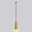 Luminaire suspendu conique à 1 lumière Deandra-689322399