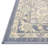 Matthei Oriental Indoor Rug