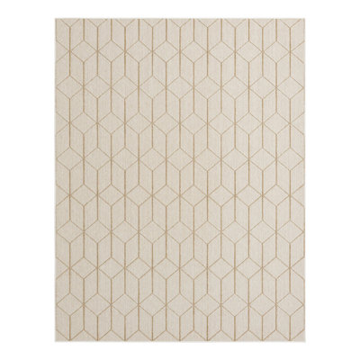 Indoor/Outdoor Trellis Area Rug