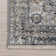 Charvi Distressed Medallion Fringe Area Rug