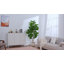Figuier artificiel 6 pi 6 pi - Grand arbre artificiel, 106 feuilles réalistes, grand arbre figuier en forme de figuier réaliste pour bureau à domicile, salon, coin, porche, décoration intérieure-767214048