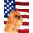Beige Brussels Griffon