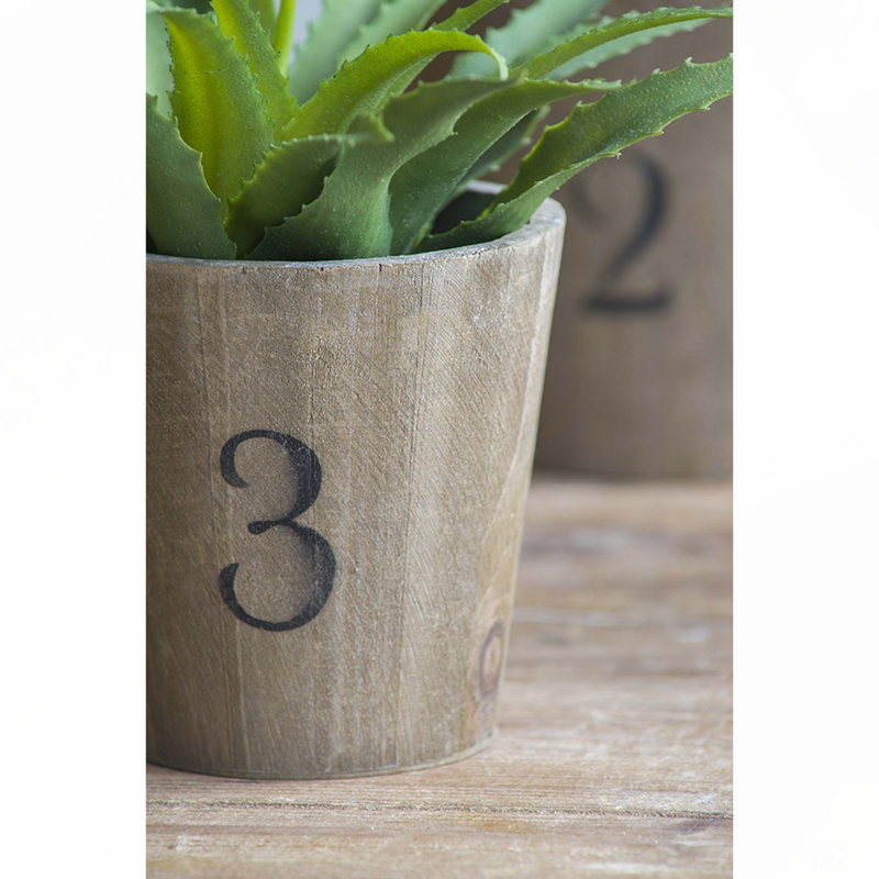 Ensemble de 3 pots à fleurs Thornton, L: 8,3 x 8,3 x 6,5 po, M: 6,8 x 6,8 x 6,1 po, S: 5,3 x 5,3 x 5,1 po