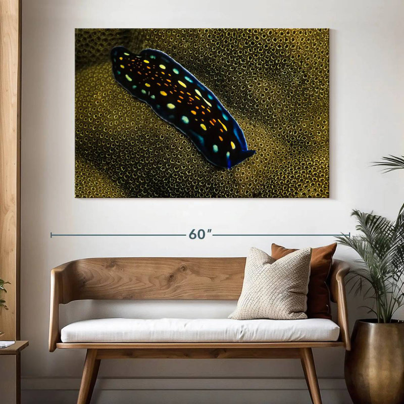 Linda's Flatworm
