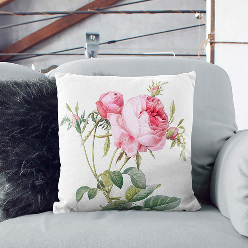 Cabbage Roses in Bloom by Pierre-Joseph Redoute Cushion with Filling, Black, 55cm H x 55cm W x 20cm D