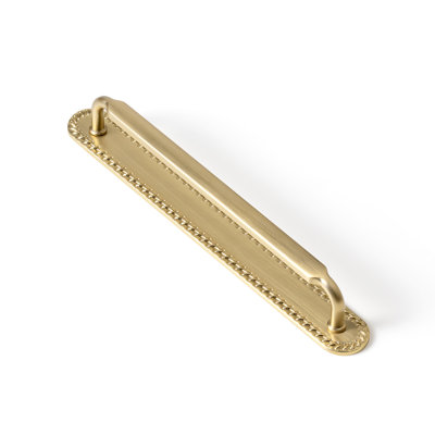 Fancy Appliance Pull With Backplate Multipack