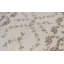 Hand-Knotted High-Quality Ivory Area Rug