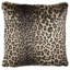 Coussin 