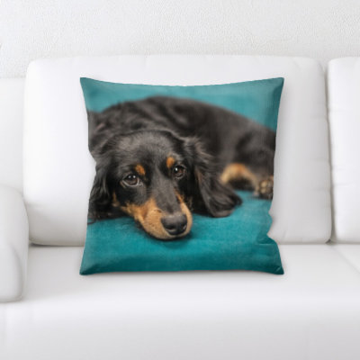 Coussin Dog