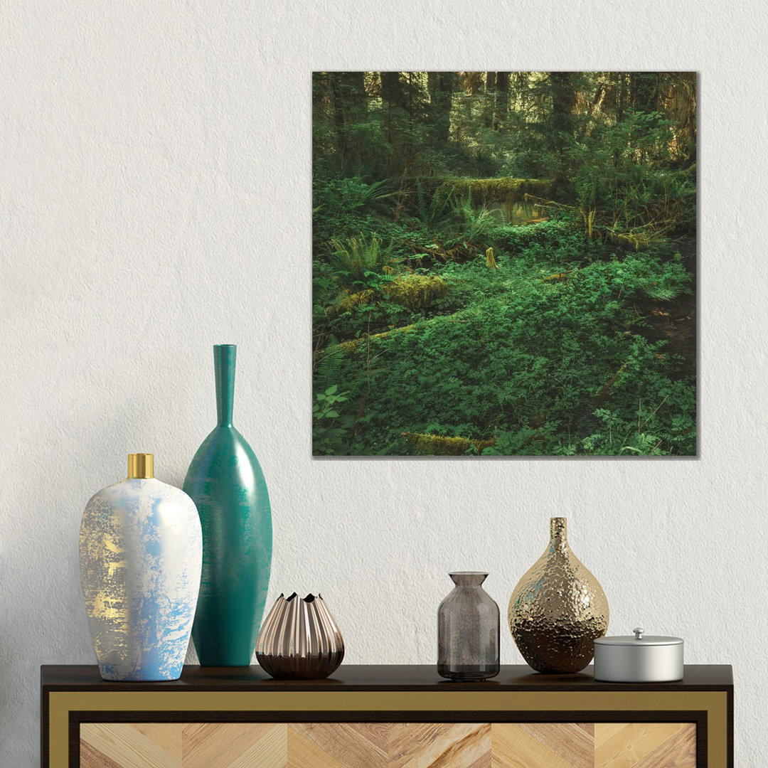 Olympischer Regenwald von Louis Ruth - Galerie-verpackte Leinwand Giclée auf Leinwand