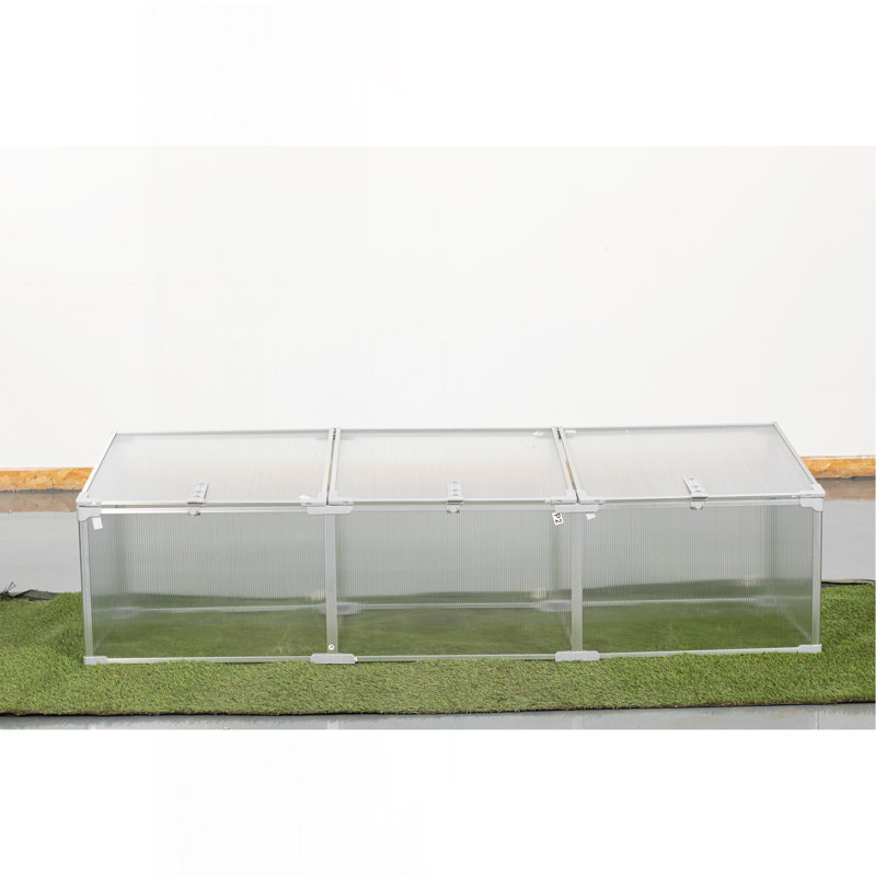 Serre en polycarbonate pour l'extérieur en hiver