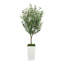 Plant-193444326