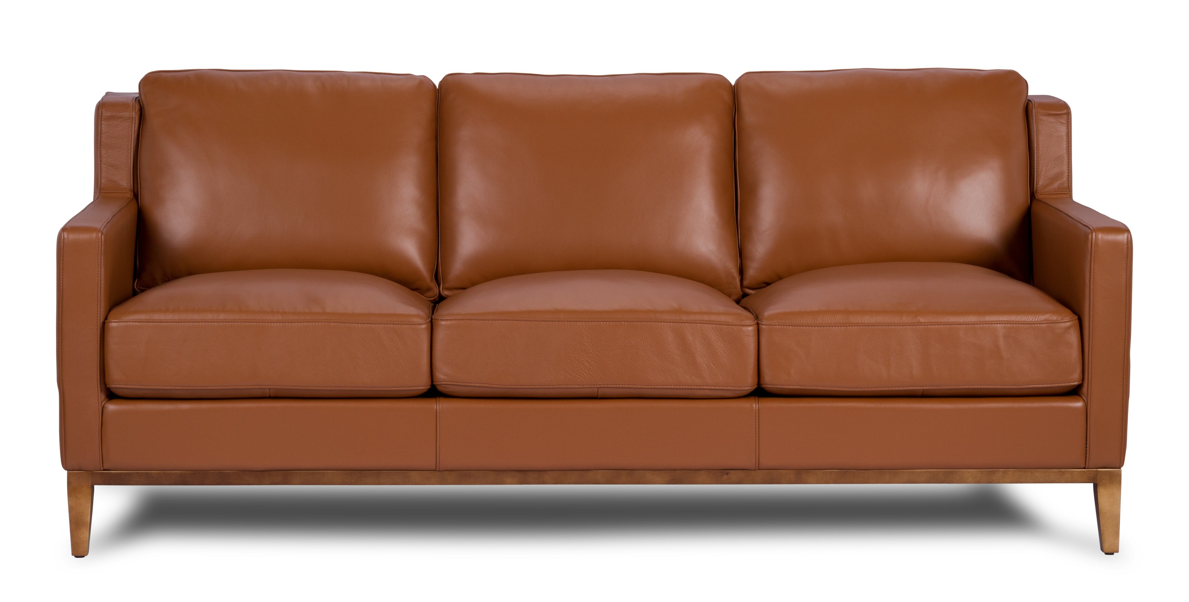 Sepia Brown Leather Grain Breathables Upholstery Fabric by The Yard