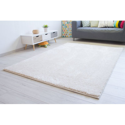 Aref Solid Colour Shag Area Rug