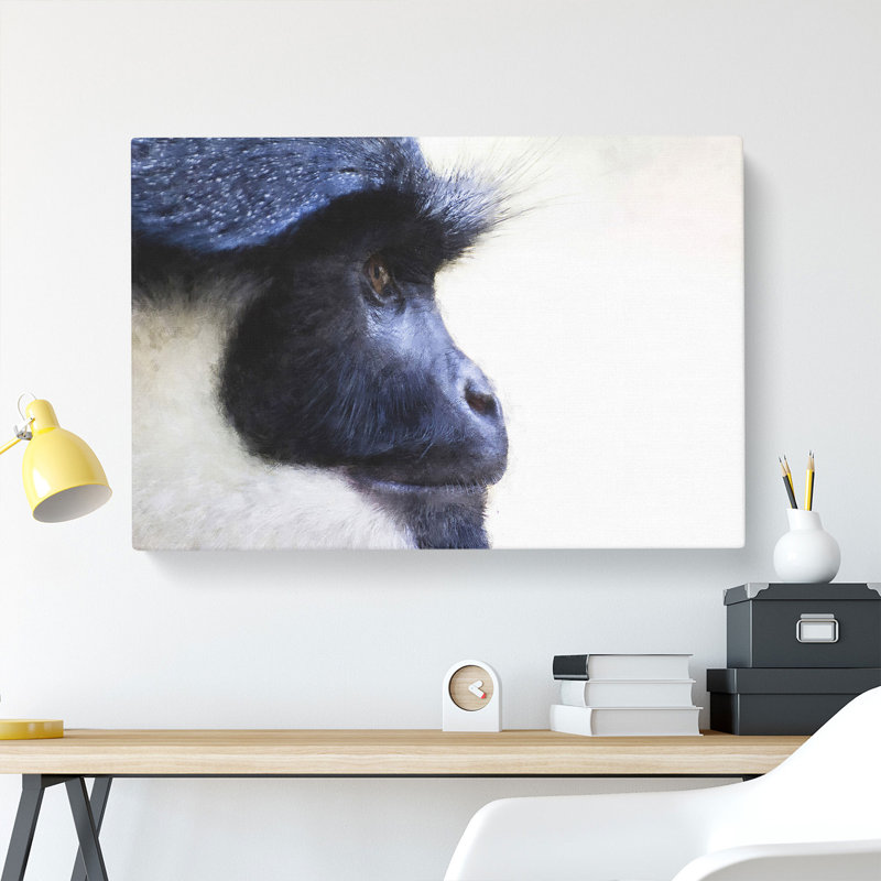 Colobus Monkey - Wrapped Canvas, 50cm H x 76cm W x 3cm D