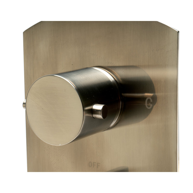 Mélangeur de douche thermostatique 1 bouton, Nickel brossé