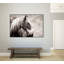« wild paint », reproduction de photo sur toile-1211105036
