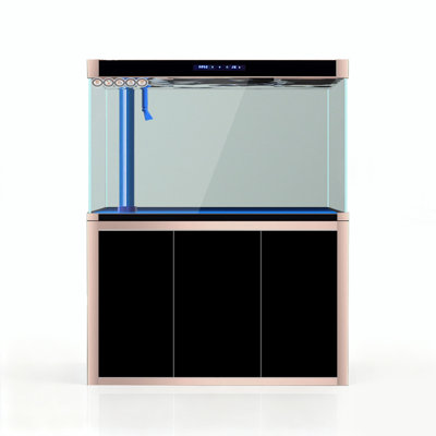 Aquarium moderne en verre écologique ultra transparent