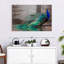Élégant paon bleu sur toile-2034608566
