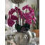 Olympian Phalaenopsis Orchids Centerpiece in Planter-849736862-849736863