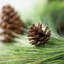 Artificial Pine Spray