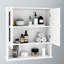 Armoire murale de salle de bain à double porte miroir - Économie d'espace et tablettes réglables peintes à la mode