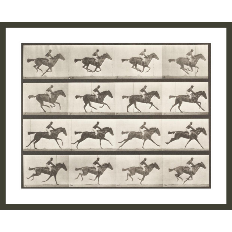 Annie galop (Animal Locomotion 1887 plate 623) par Ead vêtementsd Muybridge, impression giclée encadrée