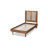 Slat Bed-1147574584