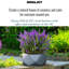 Reinforced Stone Bowl Planter, Faceted Shallow Planter, Bonsai Pot-1661337767-1661337766