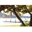 Globe terrestre Soji Stella Deco - blanc