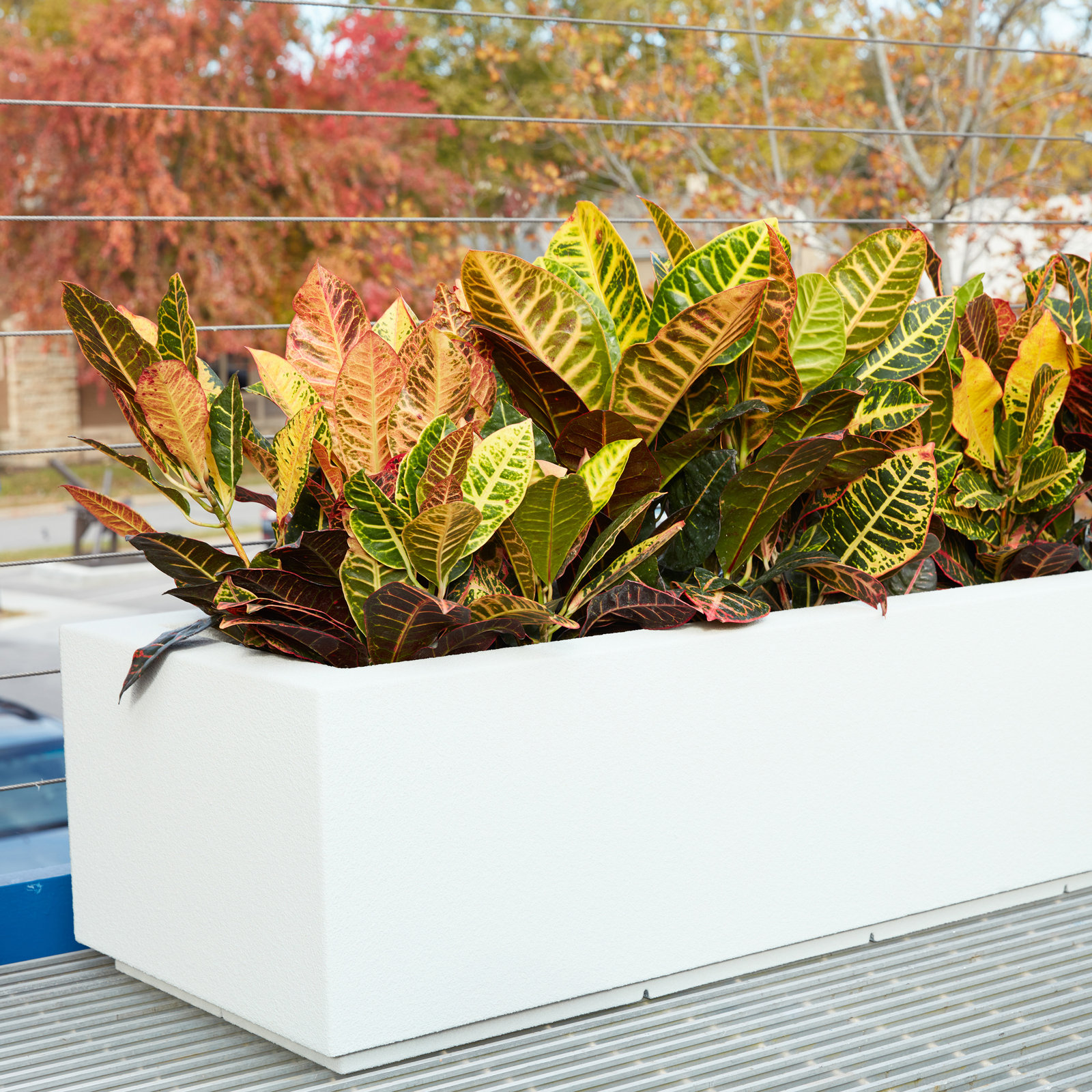 Gita Planter Box, 12" H x 46" W x 17" D, White