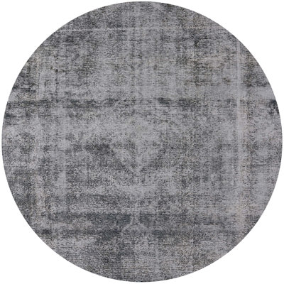 Oriental Indoor Rug