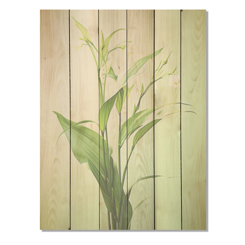 «Simplistic Flora Petal Bliss I», art sur bois de pin naturel, H 20 po x l 10 po