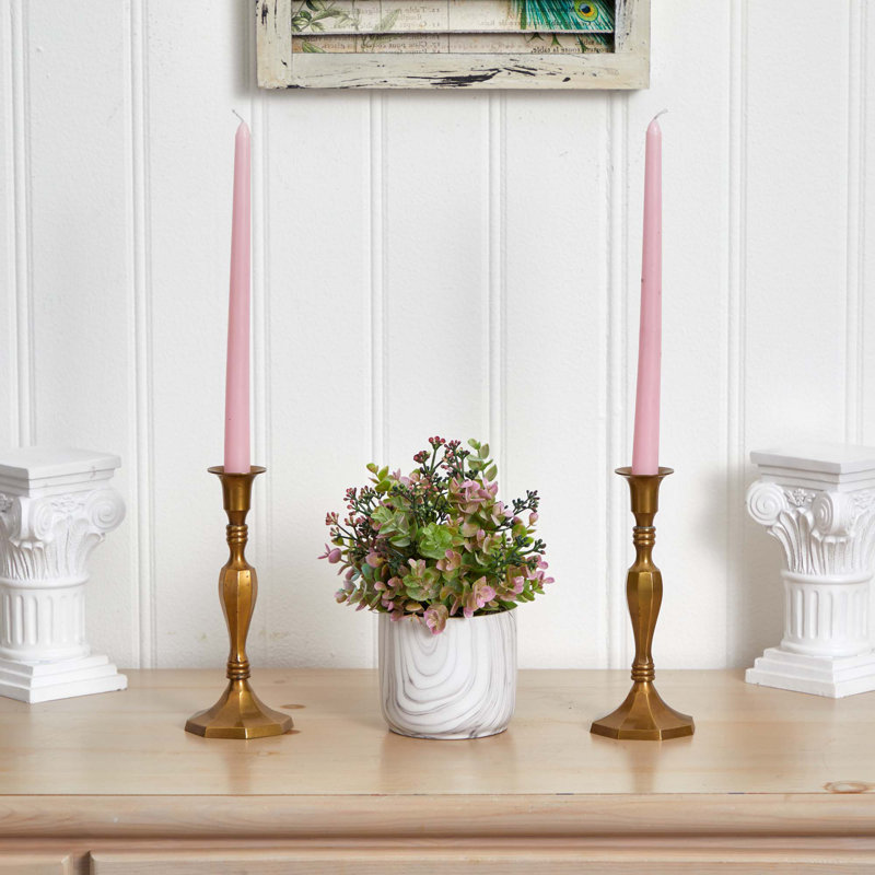 Eucalyptus plante en vase, Mauve