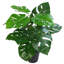 Faux Plant in Pot Liner-66311157