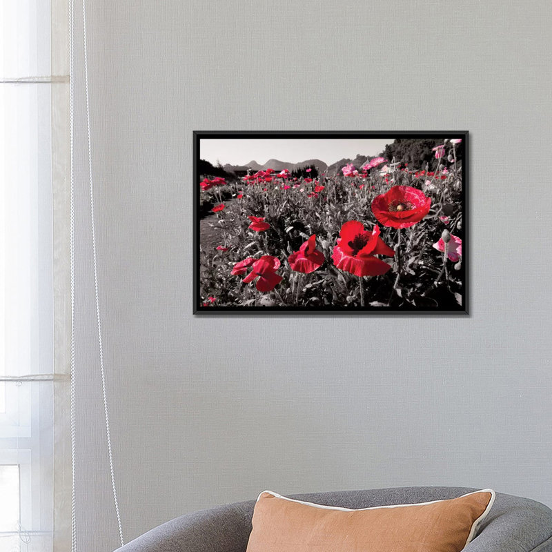 «Red Poetry», reproduction de photo sur toile, H 18 po x l 26 po x P 1,5 po, Toile avec cadre noir, Pas de tapis