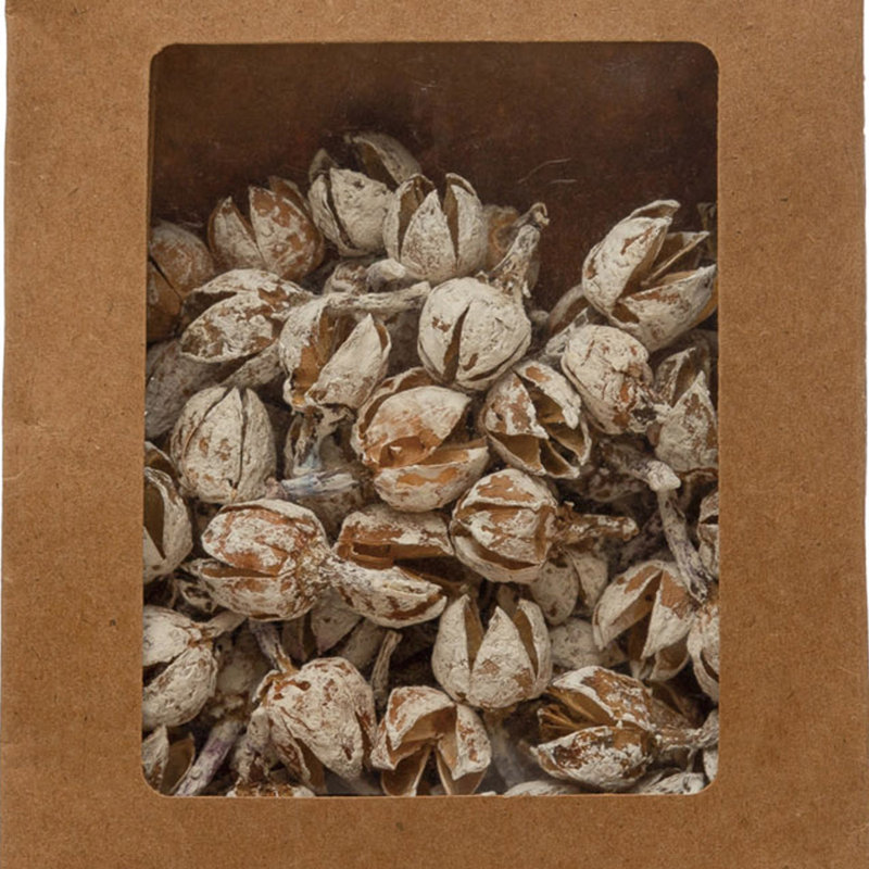 Dried Pods