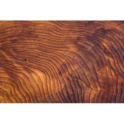 Redwood Burl Wood Grain Background - Wrapped Canvas Print