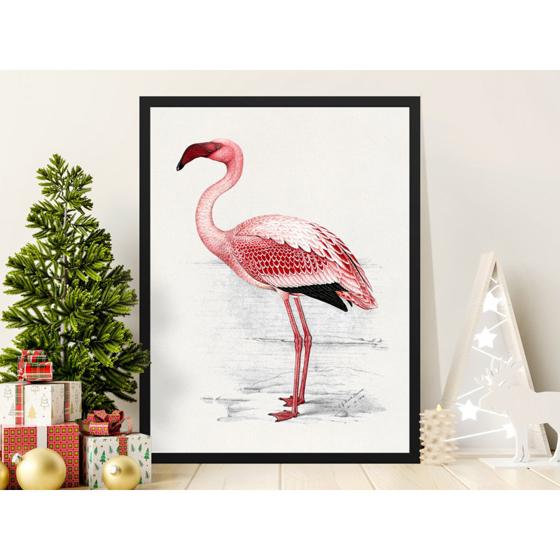Conard Single Picture Frame Print, 35.56 cm H x 27.94 cm W