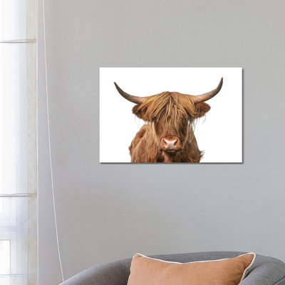 Highland Cow Headshot - Wrapped Canvas Print
