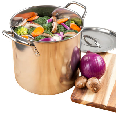 McSunley Non-Stick Stainless Steel Stainless Steel Stock Pot